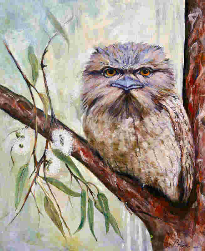 Tawny Frogmouth - Quietly Watching Original Oil Painting by Cory Acorn